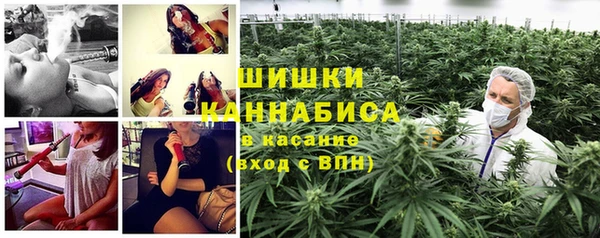 ПСИЛОЦИБИНОВЫЕ ГРИБЫ Протвино