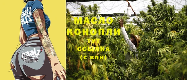 стаф Гатчина