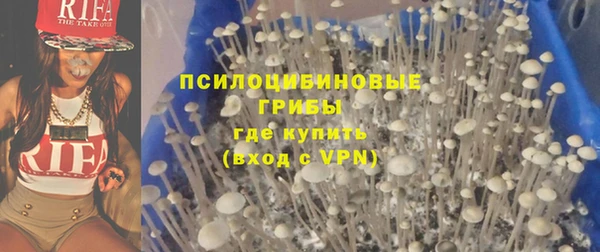 ПСИЛОЦИБИНОВЫЕ ГРИБЫ Протвино